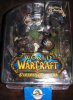 World Of Warcraft 2 Night Elf Druid Broll Bearmantle